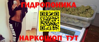 стафф Донецк